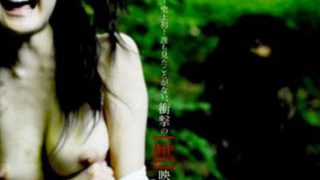 1sdms00194aipl