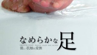 1sdmt00050aipl