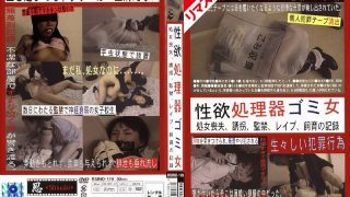 h 210rsino00119aipl