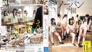 mird00257pl