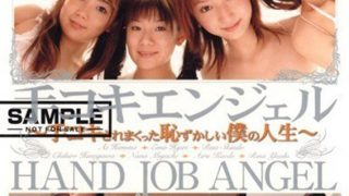 1sddm00864aipl