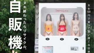 1sdms00604aipl