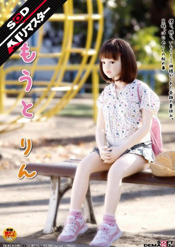 1sdmt00361aipl