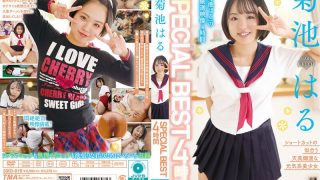 5533id00019pl
