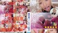 h 1133honb00427pl