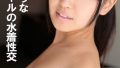 h 1462pyu00445pl