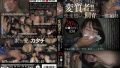 h 1596gns00124pl