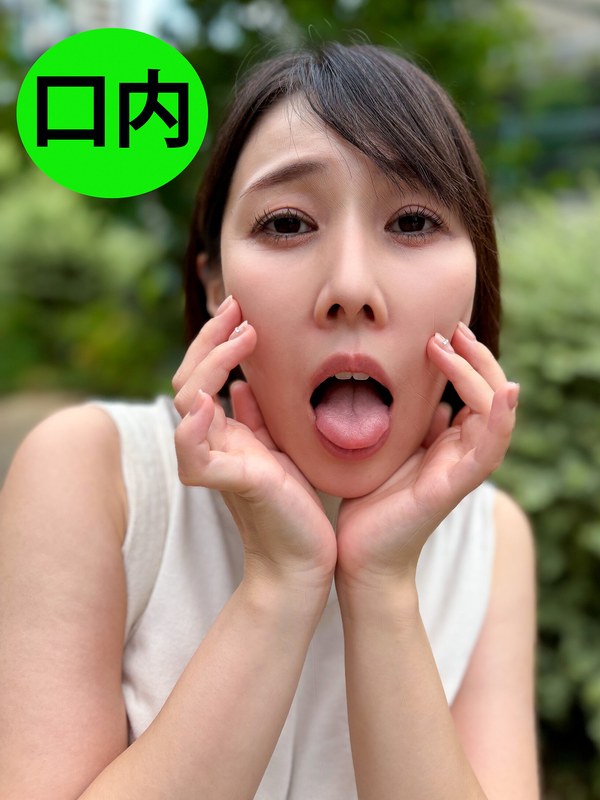 h 1651nko0400004pl