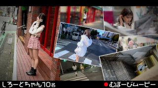 h 1711fch00106pl