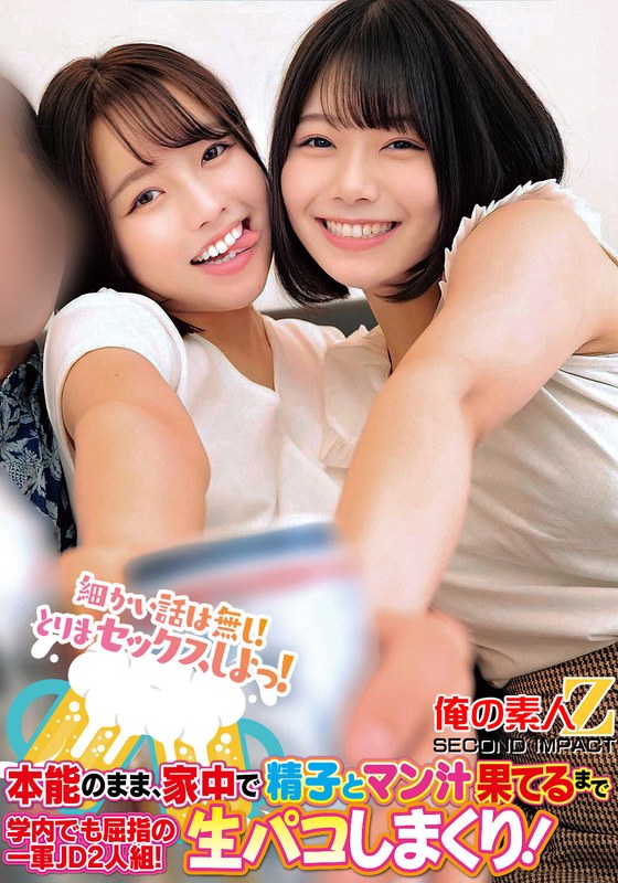h 1732orecs00294pl