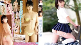h 1786bufe00062pl