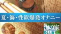 h 283pmft00202pl