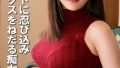 h 1462fcr00013pl
