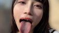 h 1651nko0500003pl