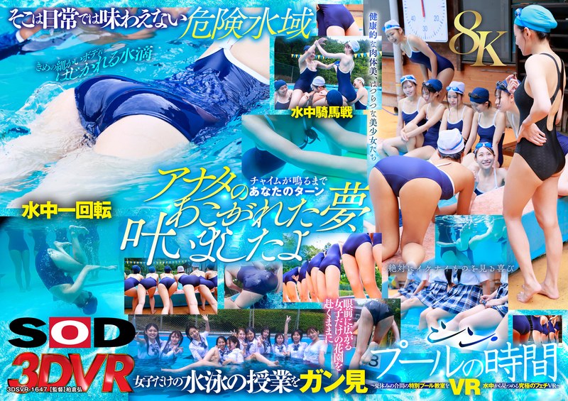 13dsvr01647pl