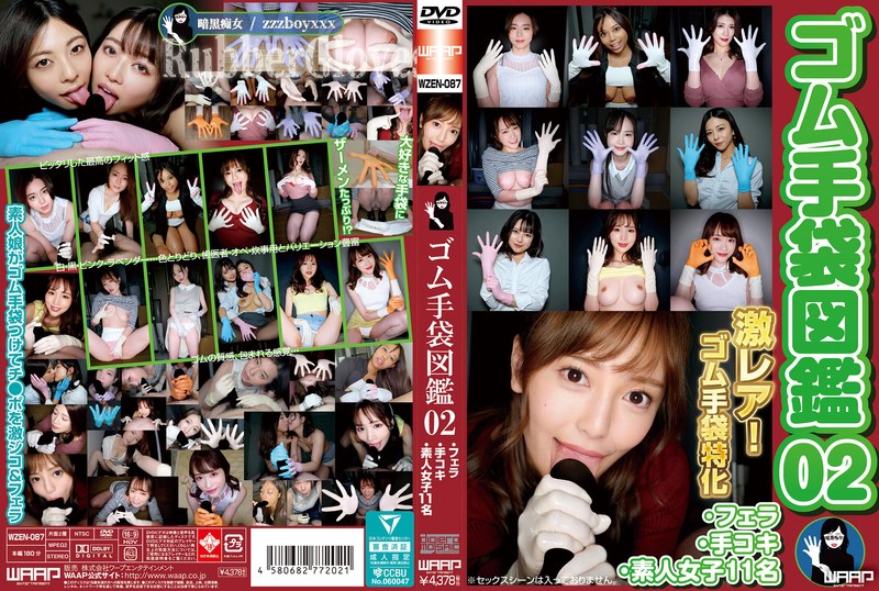 2wzen00087pl