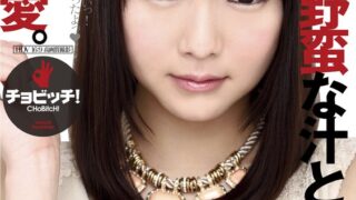 h 1435bth00331pl