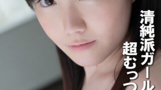 h 1462pyu00426pl