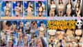 h 1472stvf00103pl