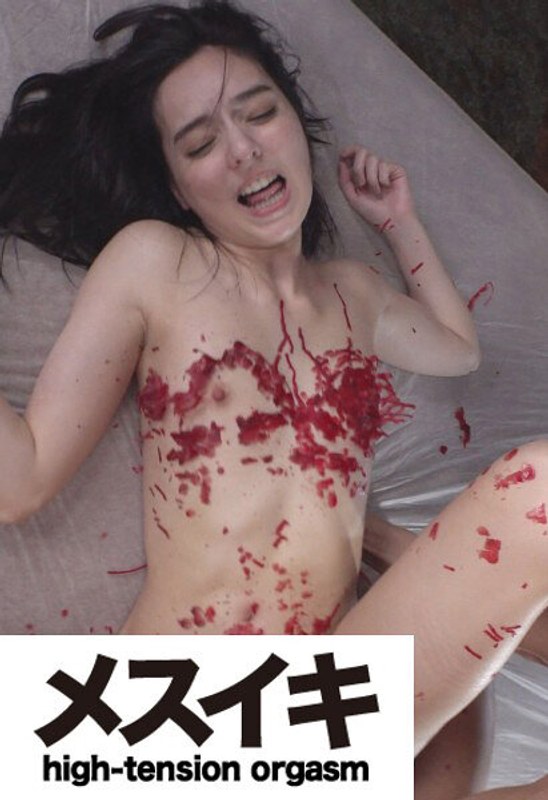h 1617zzzm01449pl