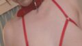 h 1617zzzm01453pl