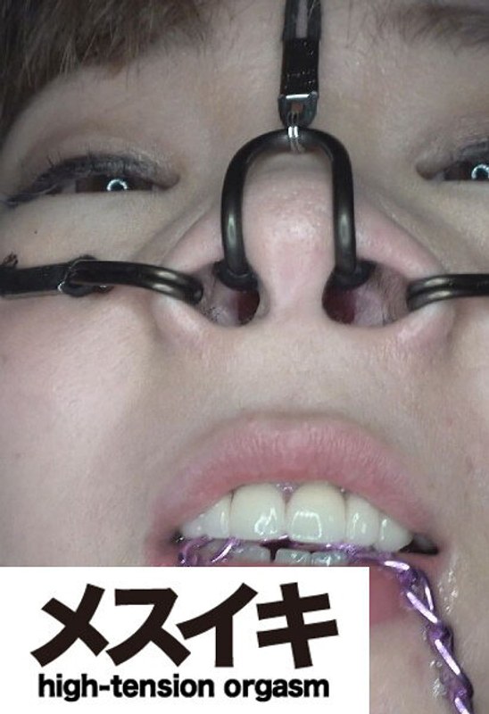 h 1617zzzm01468pl