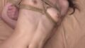 h 1617zzzm01484pl