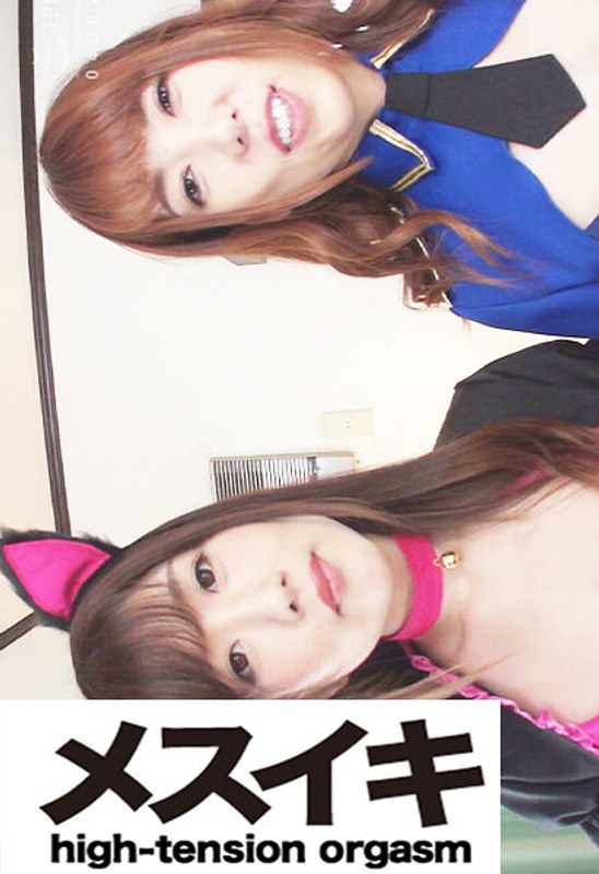 h 1617zzzm01781pl