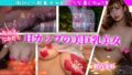 h 1713ems00017pl