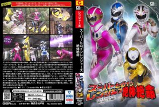 h 173ghov00081pl
