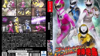 h 173ghov00081pl