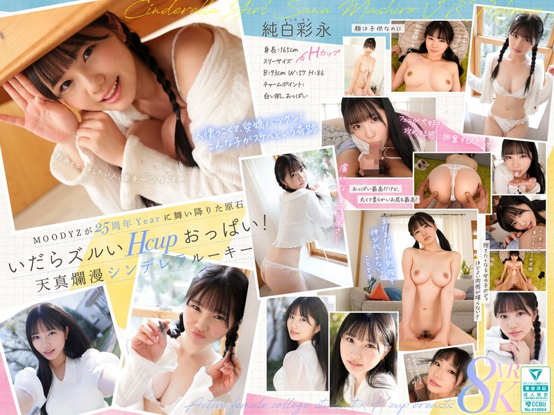 mdvr00365pl