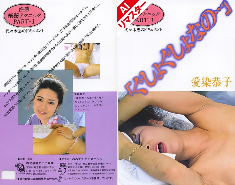 149ainv09063pl