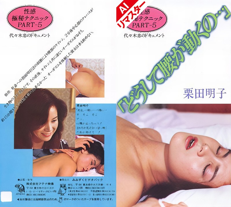 149ainv09067pl