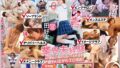 1sdjs00284pl