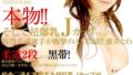 1sdms00252aipl