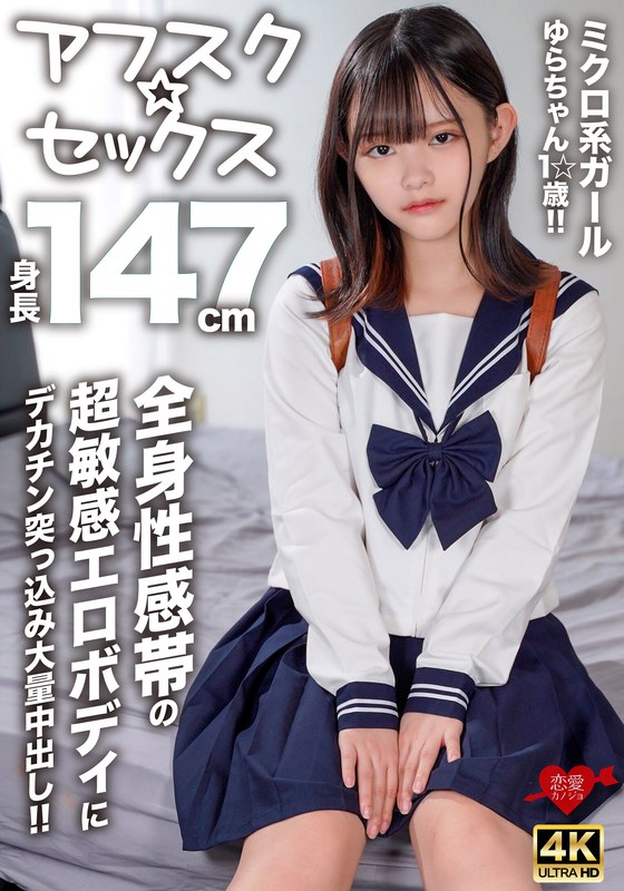 h 1472erofv00295pl