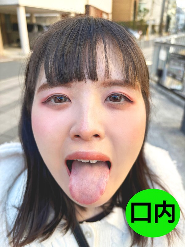 h 1651nko0500002pl