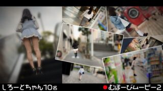 h 1711fch00113pl
