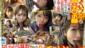 h 1721fvid00001pl