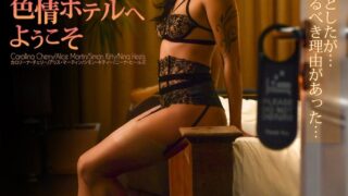 h 1738mdbm00085pl