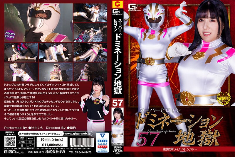 h 173spsa00088pl