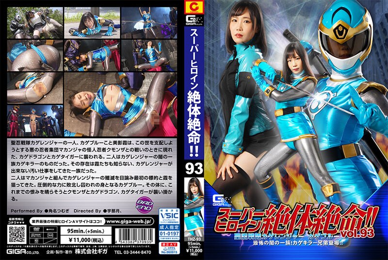 h 173thz00093pl