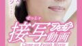 h 1791tc00024pl