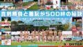 SOD女子社員 2025年度ソフト・オン・デマンド運動会 男女総勢37名の社員合戦!【無料試聴】 36 1sdjs00346pl