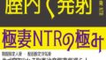 極妻NTRの極み 12時間9分【無料試聴】 37 h 1133pakoh00002pl