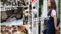 h 101gs00875aipl