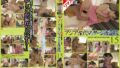 h 101gs00886aipl