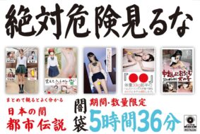 h 1133honbh00010pl