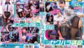 1sdmm00233pl
